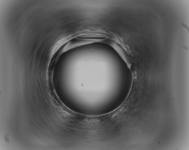 X0000097760340200803141728