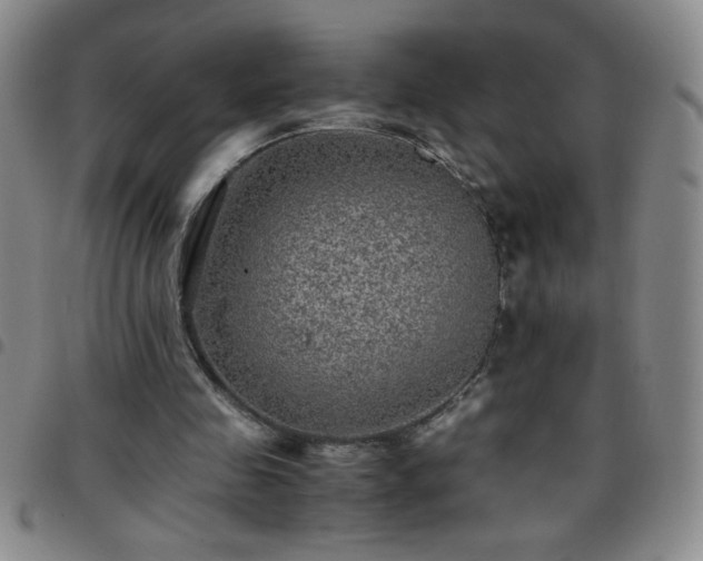 X0000097760341200803141728