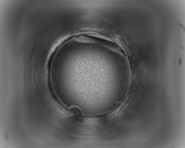 X0000097760342200803141728