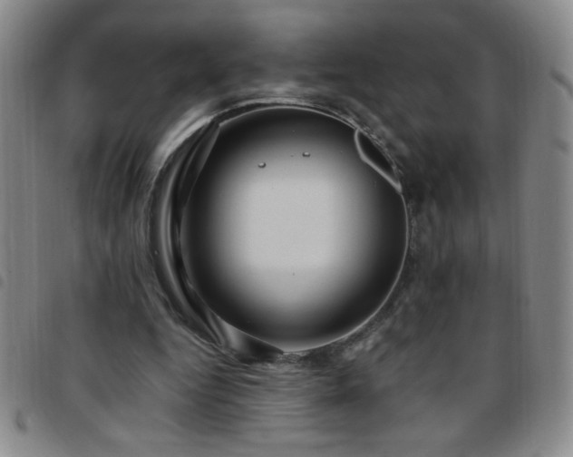 X0000097760344200803141728