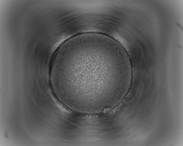 X0000097760345200803141728