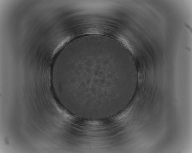 X0000097760349200803141728