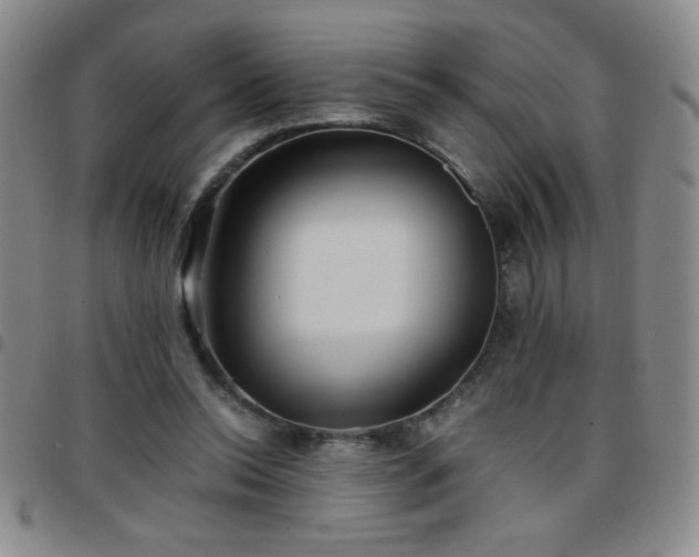 X0000097760350200803141728