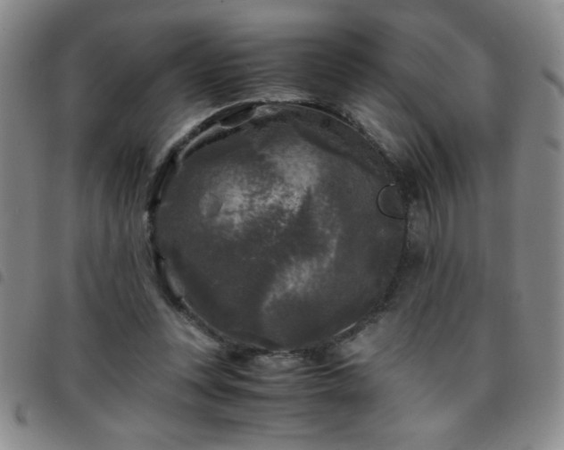 X0000097760351200803141728