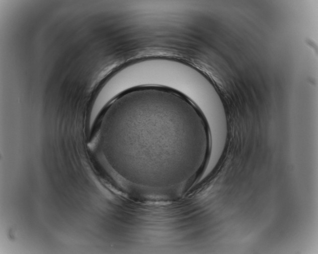 X0000097760352200803141728