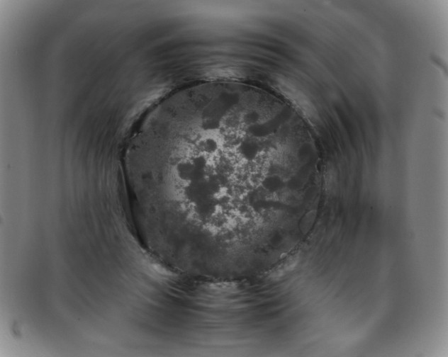 X0000097760353200803141728