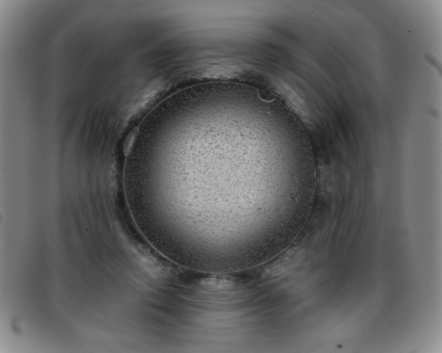 X0000097760354200803141728