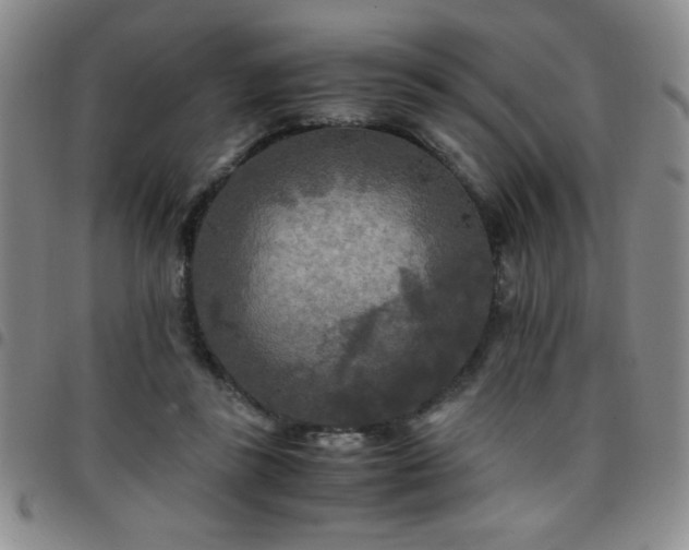 X0000097760355200803141728