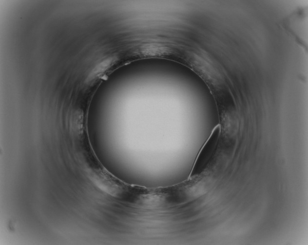 X0000097760356200803141728