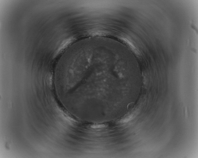 X0000097760357200803141728