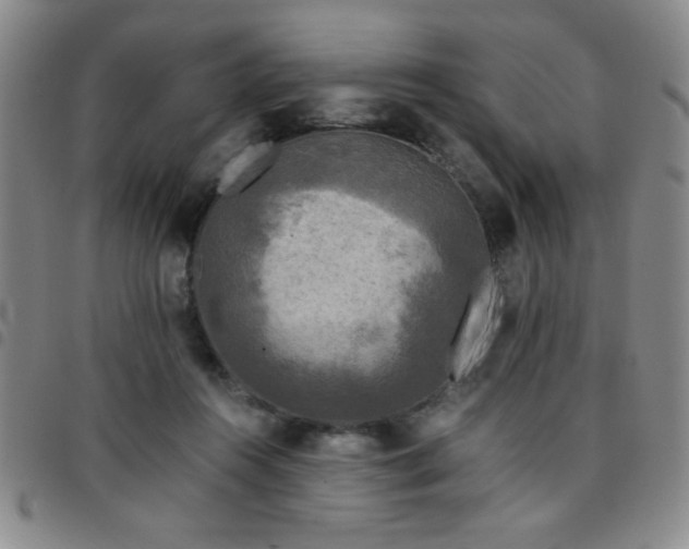 X0000097760360200803141728