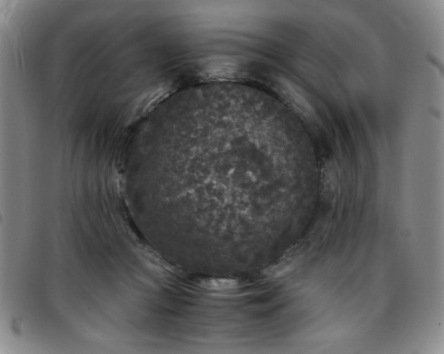 X0000097760361200803141728