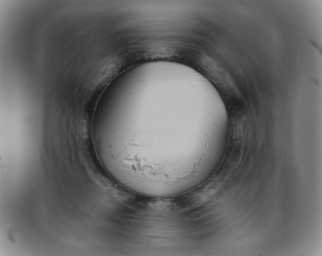 X0000097760362200803141728