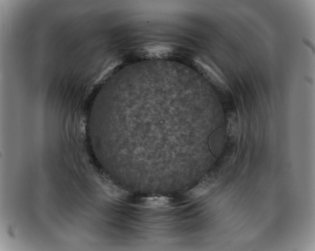 X0000097760363200803141728