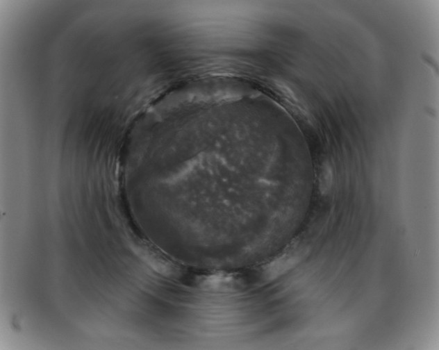 X0000097760366200803141728