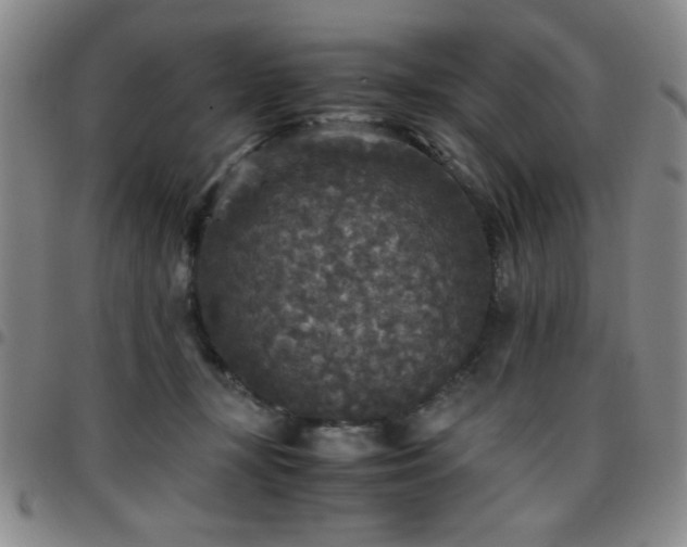 X0000097760367200803141728