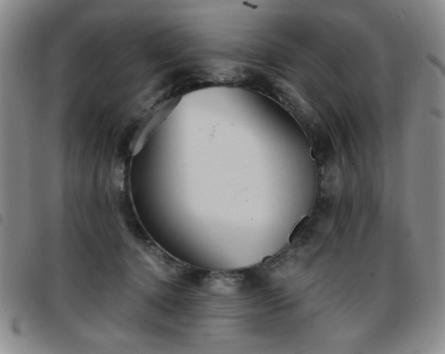 X0000097760368200803141728