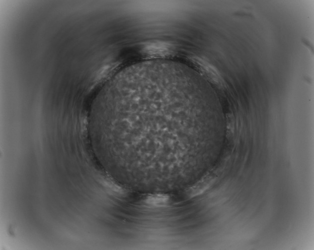 X0000097760369200803141728