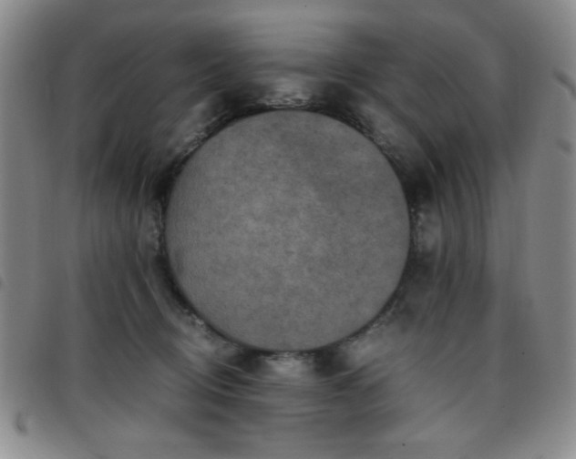 X0000097760370200803141728