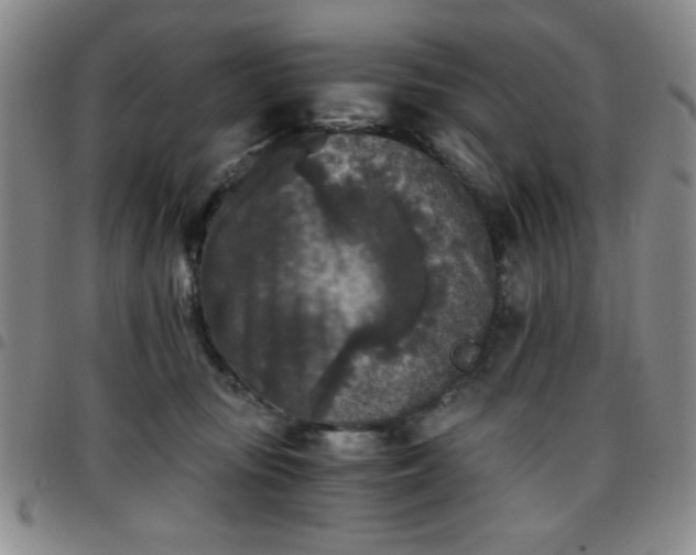 X0000097760371200803141728