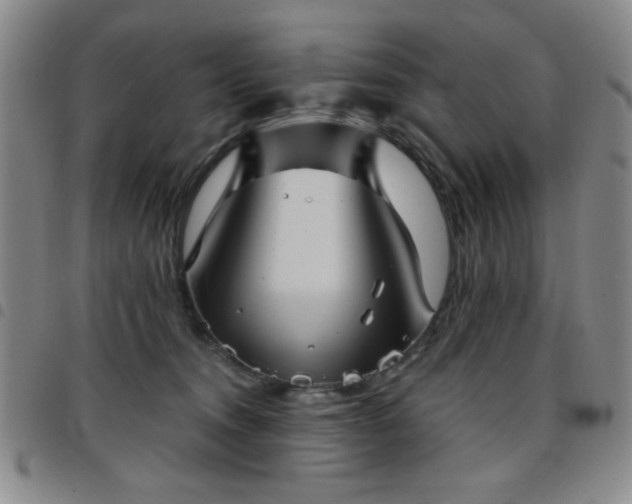 X0000097760372200803141728