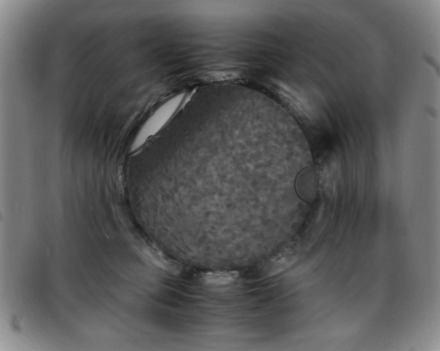 X0000097760373200803141728