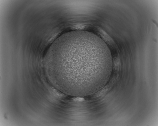 X0000097760374200803141728