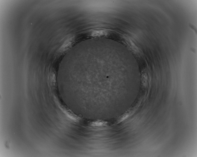 X0000097760375200803141728