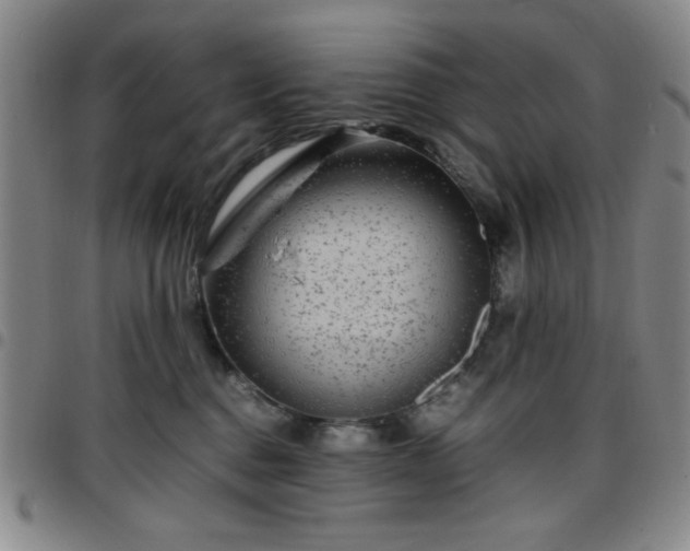 X0000097760376200803141728