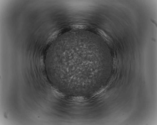 X0000097760377200803141728