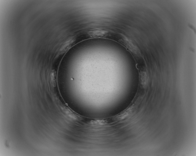 X0000097760378200803141728