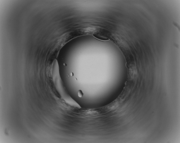 X0000097760379200803141728