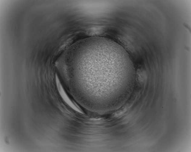 X0000097760380200803141728