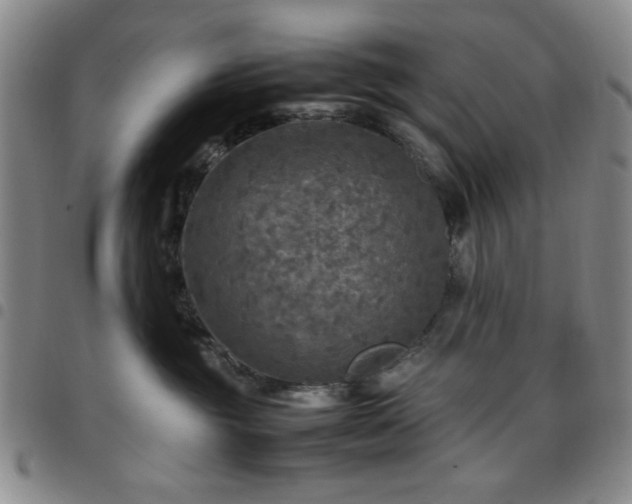 X0000097760381200803141728