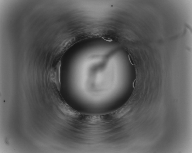 X0000097760384200803141728