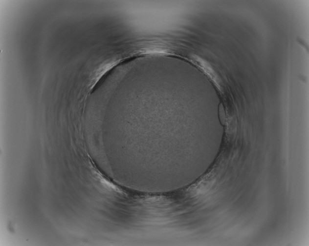 X0000097760385200803141728