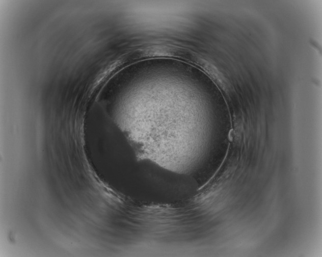 X0000097760386200803141728