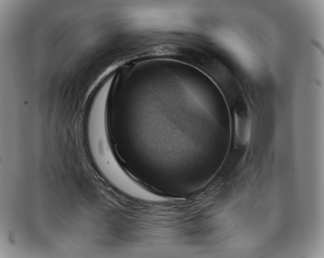 X0000097760387200803141728