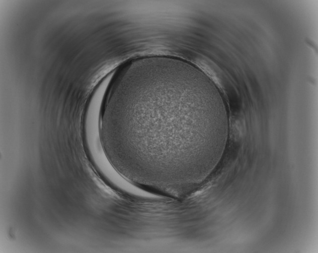 X0000097760389200803141727