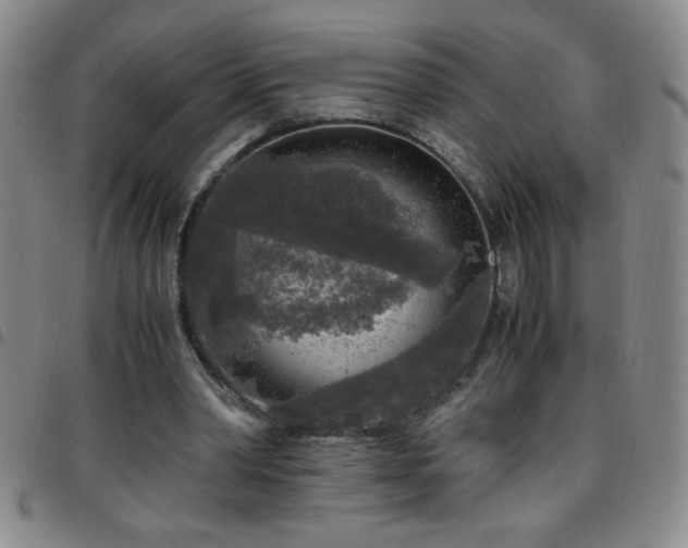 X0000097760390200803141727