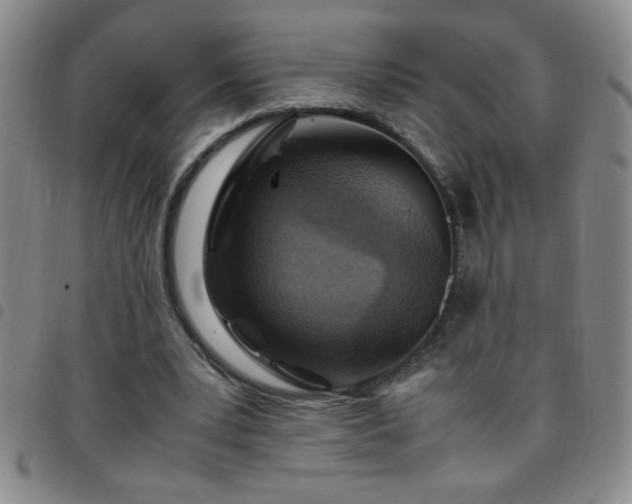 X0000097760391200803141727