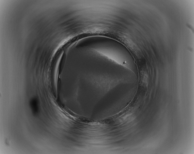 X0000097760392200803141727