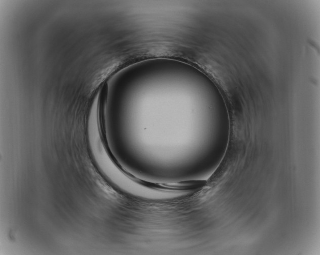 X0000097760393200803141727