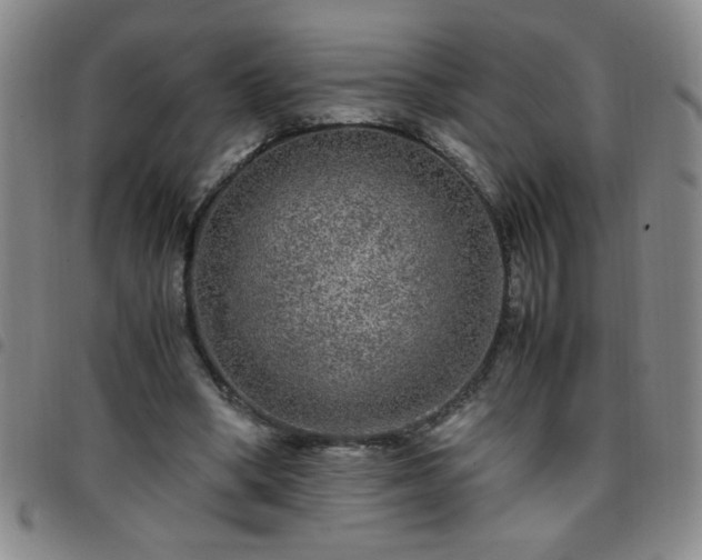 X0000097760394200803141727