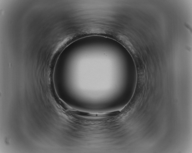 X0000097760395200803141727