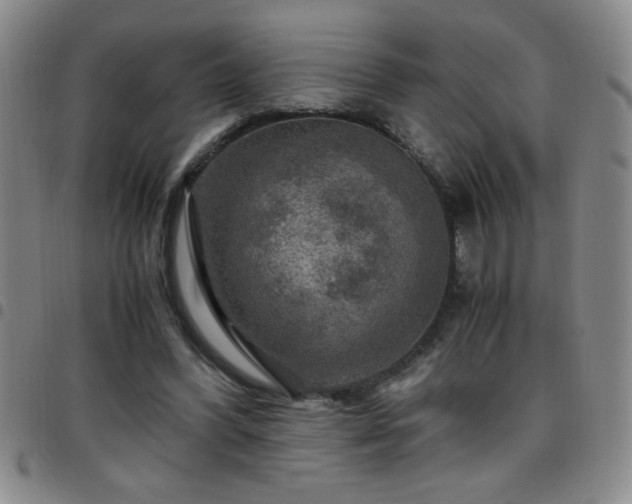 X0000097760396200803141727