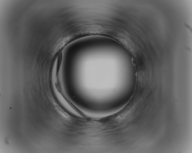 X0000097760397200803141727