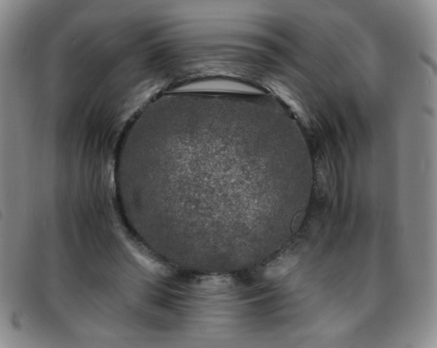 X0000097760398200803141727