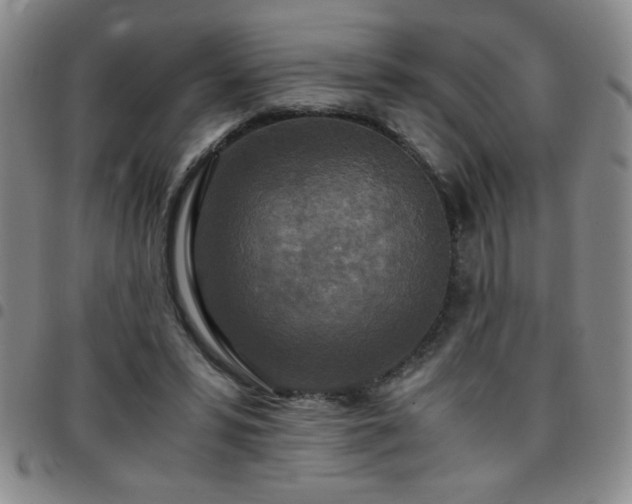 X0000097760399200803141727