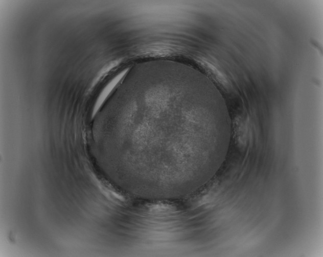 X0000097760400200803141727